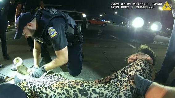 Multiple hamsters found in burglary suspect's pants