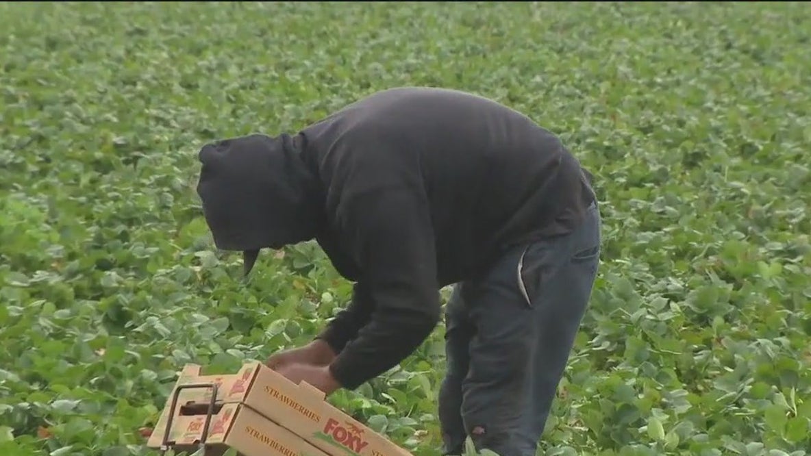 Florida farmers react to tariffs
