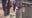 Coney Island attempted kidnapping arrest: VIDEO