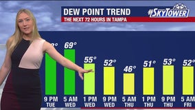 Tampa weather | Sunny ahead of cold front