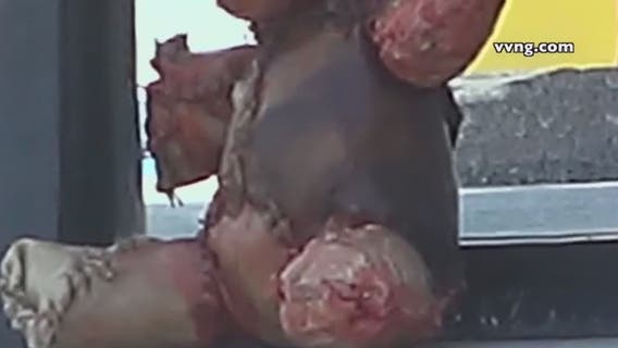 'Human skin' teddy bear prankster arrested by cops in California