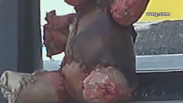 'Human skin' teddy bear prankster arrested by cops in California