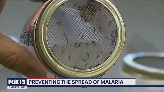 What to know about malaria