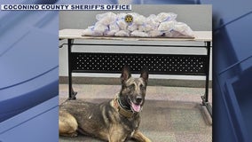 Arizona K-9 unit seizes 40 pounds of meth