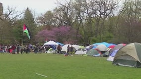 Northwestern updates conduct policy after campus protests