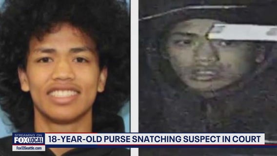18-year-old purse snatching suspect in court