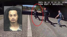 Bodycam video shows suspect throw bomb at WA police officers on freeway