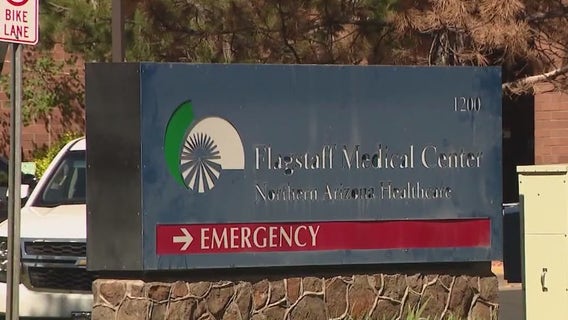 Plague in Arizona: Health officials address concerns after Flagstaff death