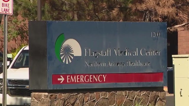 Plague in Arizona: Health officials address concerns after Flagstaff death