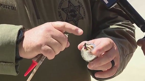 Are fireworks legal in California?