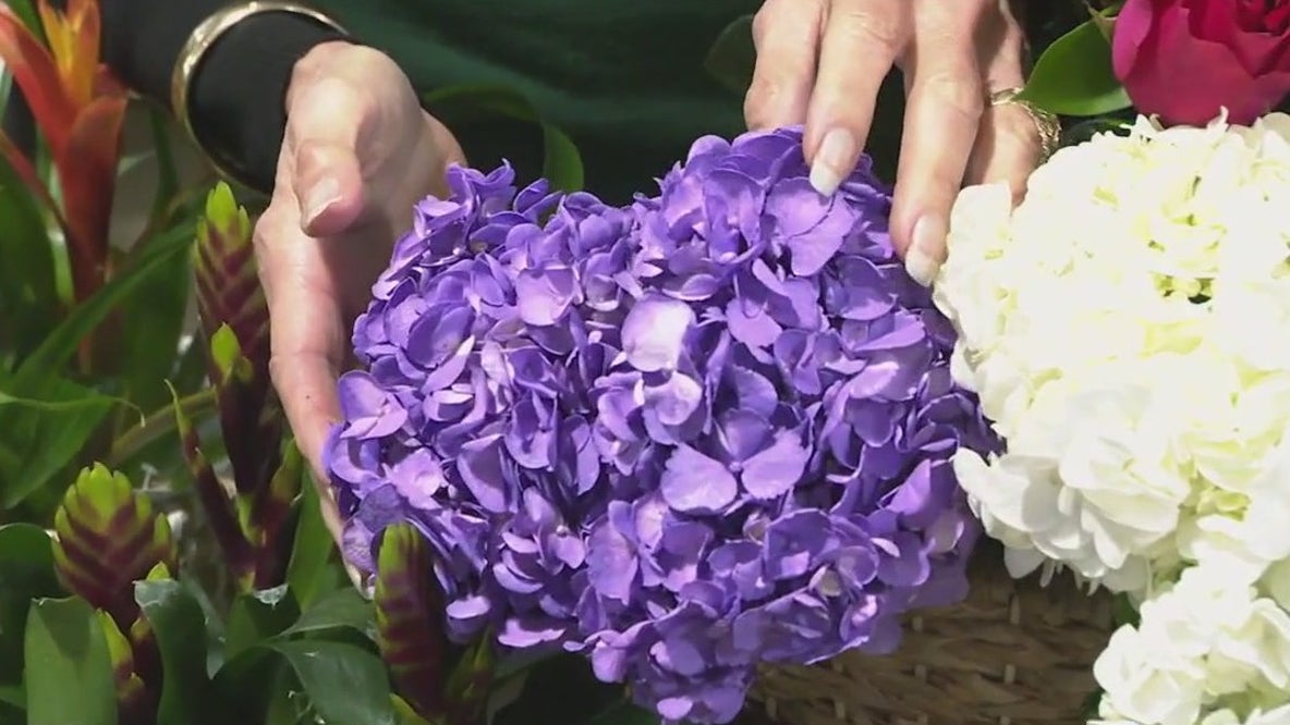 The meaning of color for Valentine's Day