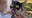 Disabled dog adopted by veterinarian