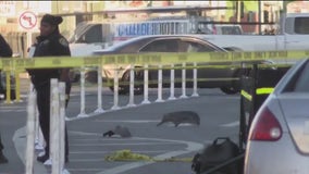 Two arrested in deadly Oakland shooting and teen pedestrian dies in crash: Today News | KTVU