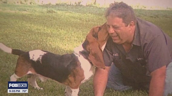 Dogs that were left homeless after their owner died in a housefire have a new lease on life