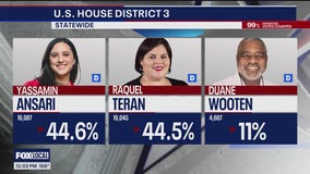 Yassamin Ansari wins Dem. Congressional primary