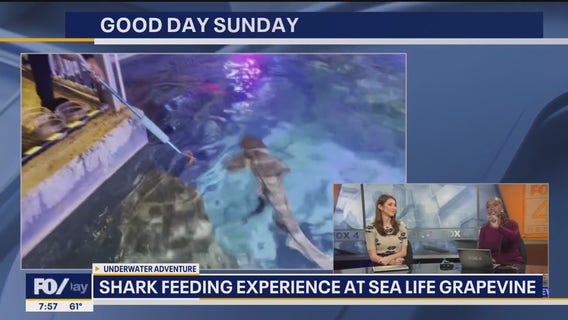 4 the week with Tisia and Kylie