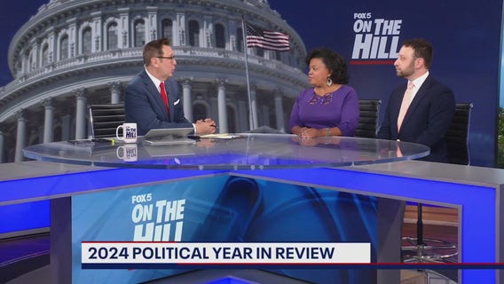 Political panel: 2024 political year in review