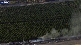 Plane crashes at Mesa's Falcon Field Airport