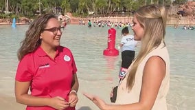 The world's largest swimming lesson at Typhoon Lagoon