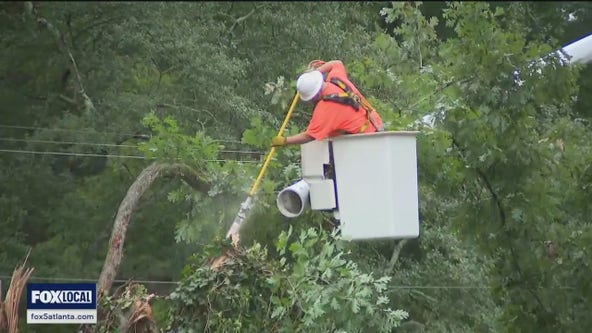 Tree falls on Hemphill School Road