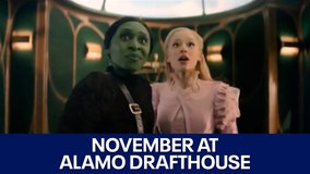 November at Alamo Drafthouse