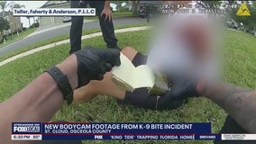 Man sues St. Cloud after K-9 bite during police encounter
