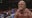 Hulk Hogan dies at 71, TMZ reports