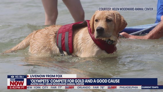 Here's how much it costs to own a pet in 2025