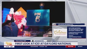 First look at ICE! at Gaylord National Resort