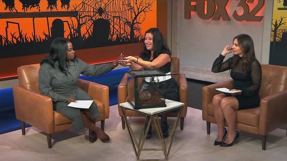 Rose Pest Solutions showcases crawling creatures in honor of Halloween | ChicagoNOW