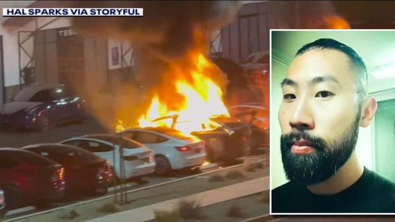 Suspect in firebombing Teslas case arrested | West Coast Wrap