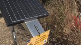 50 wildfire sensors installed in San Mateo County