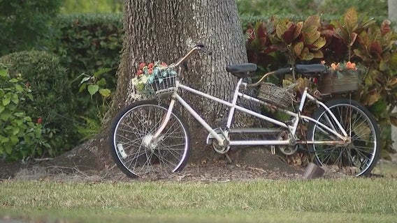 Orlando man arrested after allegedly robbing and beating elderly woman: officials