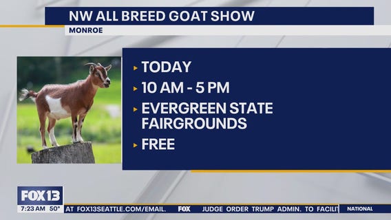 Things to do with the kids this Memorial weekend