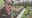 Good Day Uncut: Chestnut Hill Home + Garden Festival
