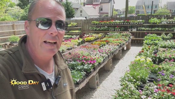 Good Day Uncut: Chestnut Hill Home + Garden Festival