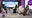 Portia: Next Level Networking