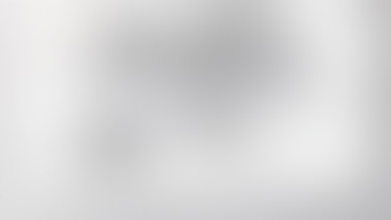 Alligator attack: 911 call reveals gator bit woman, snatched life vest as group kayaked in Polk County