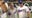 Paige Bueckers throws out first pitch at Texas Rangers game