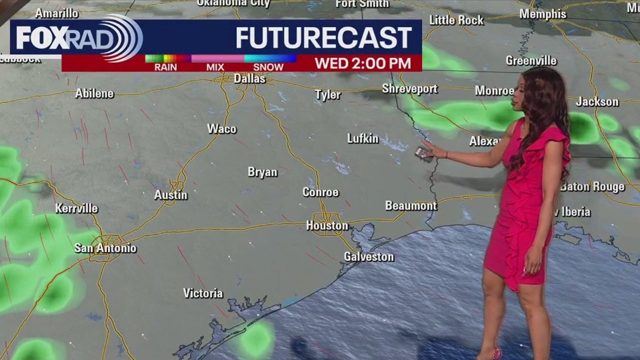 Houston Weather: Warm Day Ahead