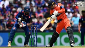 What are the rules of cricket?