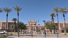 AZ lawmakers pass food additive ban bill