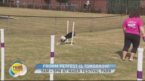 Fromm PetFest agility course at FOX6