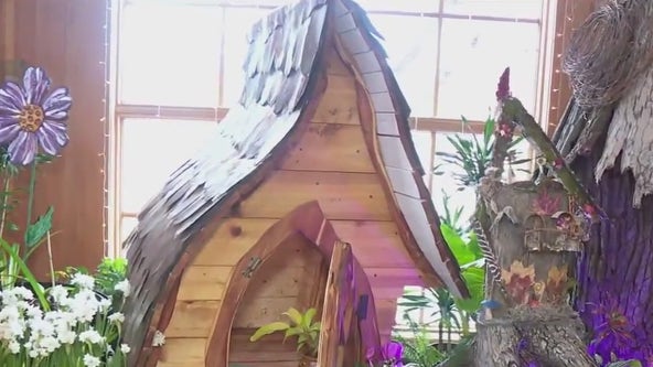 Spring Flower show open at MN Landscape Arboretum