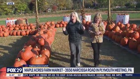 Maple Acres Farm Market provides one-stop Fall shopping