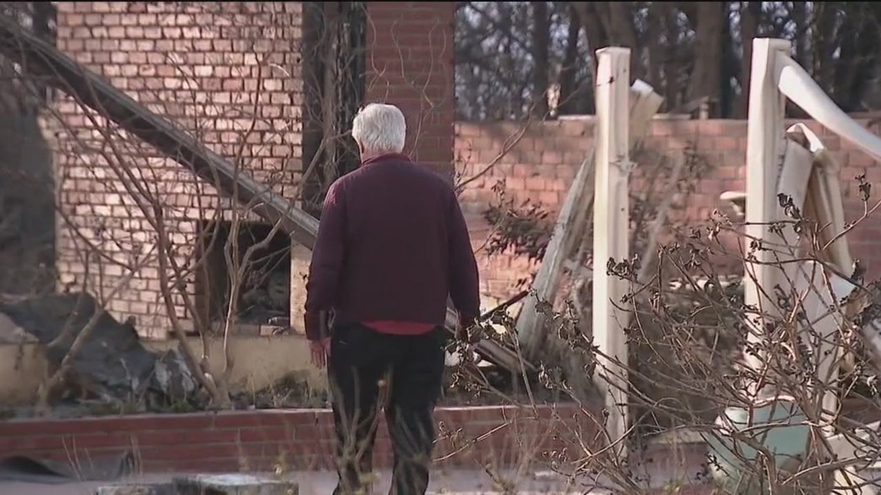 Palisades Fire Devastates Los Angeles Neighborhood