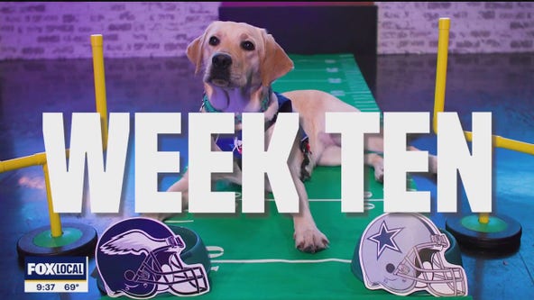 Poppy's Picks: Cowboys vs. Eagles