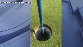 Tarantula startles Arizona golfer