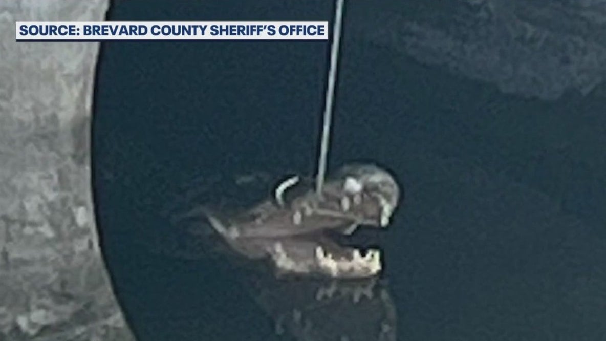 Florida man arrested after he lassos alligator: Deputies