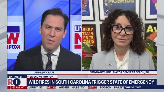 Myrtle Beach woman ignited South Carolina wildfire that scorched 2K acres, authorities say